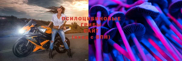 эйфоретик Балахна