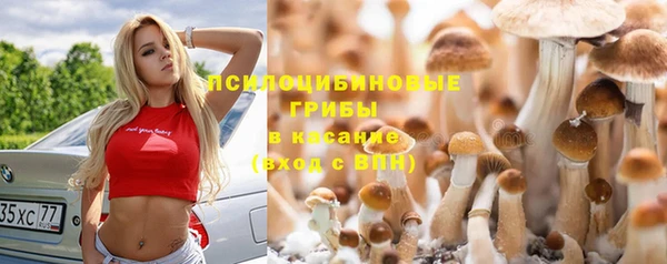 первитин Ростов